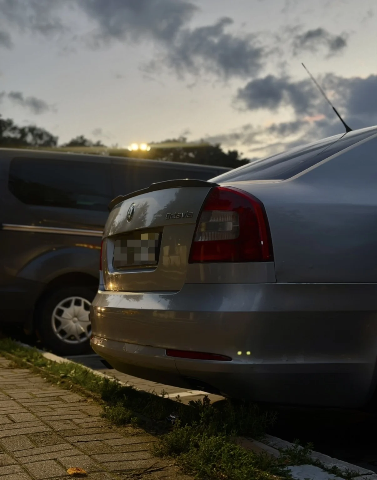 Skoda Octavia - изображение 1