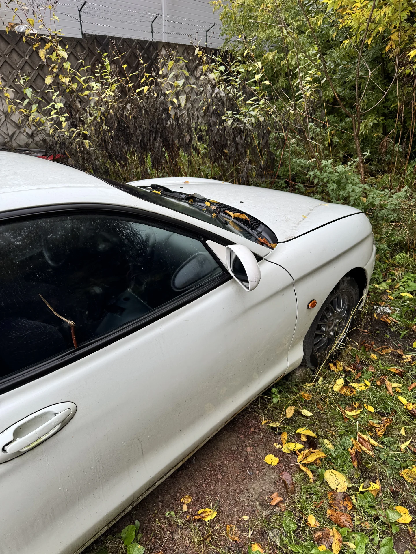 hyundai coupe - миниатюра 2