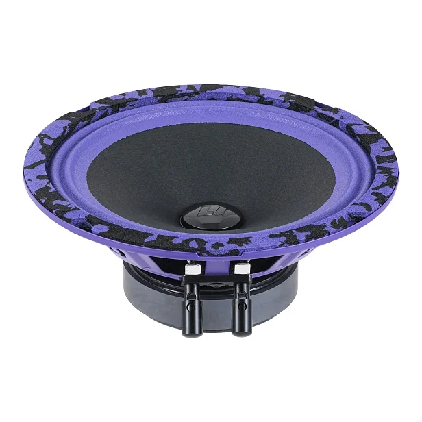 Динамики DL Audio Piranha 165 V.2, пара 16,5 см - изображение 1