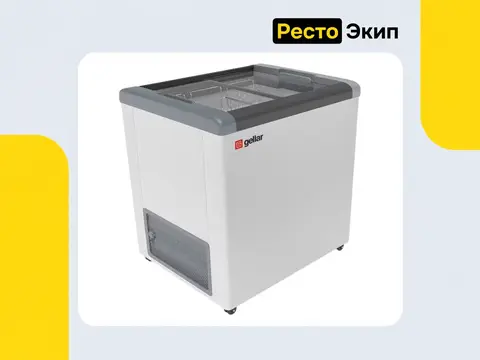 Gellar FG 250 C — Морозильный ларь