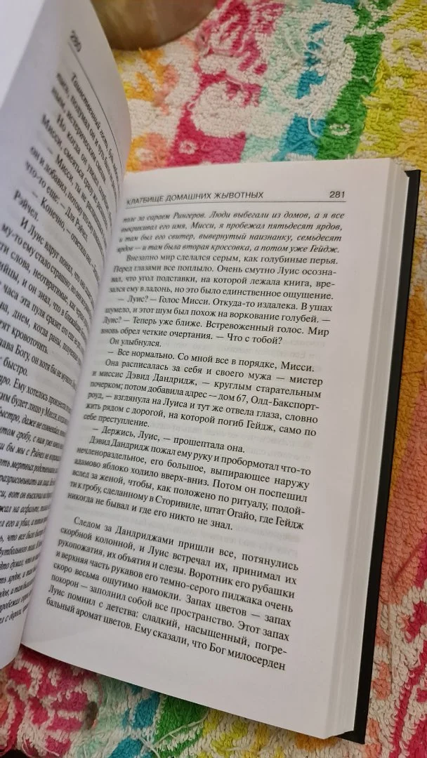 Книга Стивен Кинг «КлаТбище домашних жывотных» - миниатюра 2
