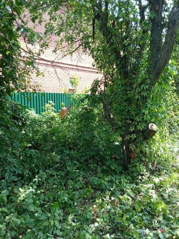 Назовите номер ID 1668 при обращении к... - миниатюра 7