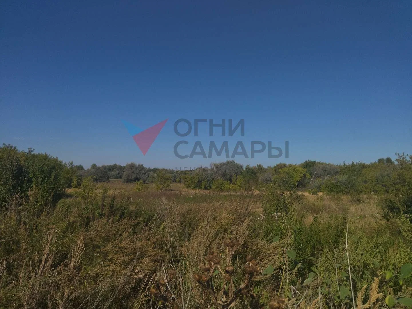 Назовите номер ID 1448 при обращении к... - миниатюра 5