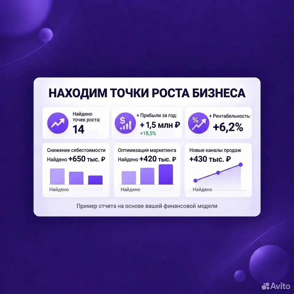 Финансовый анализ управленческого учета - миниатюра 4