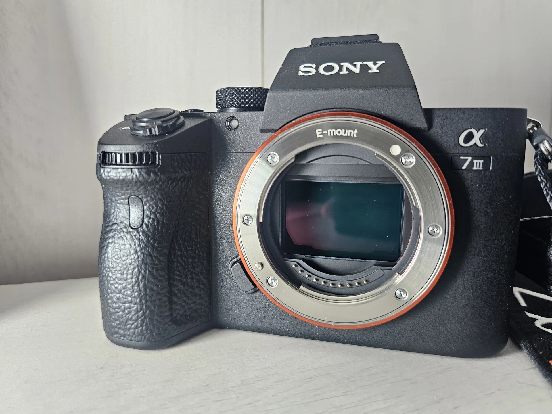 Sony A7M3 (a7 III) + Tamron 17-28 + вспышка - миниатюра 4