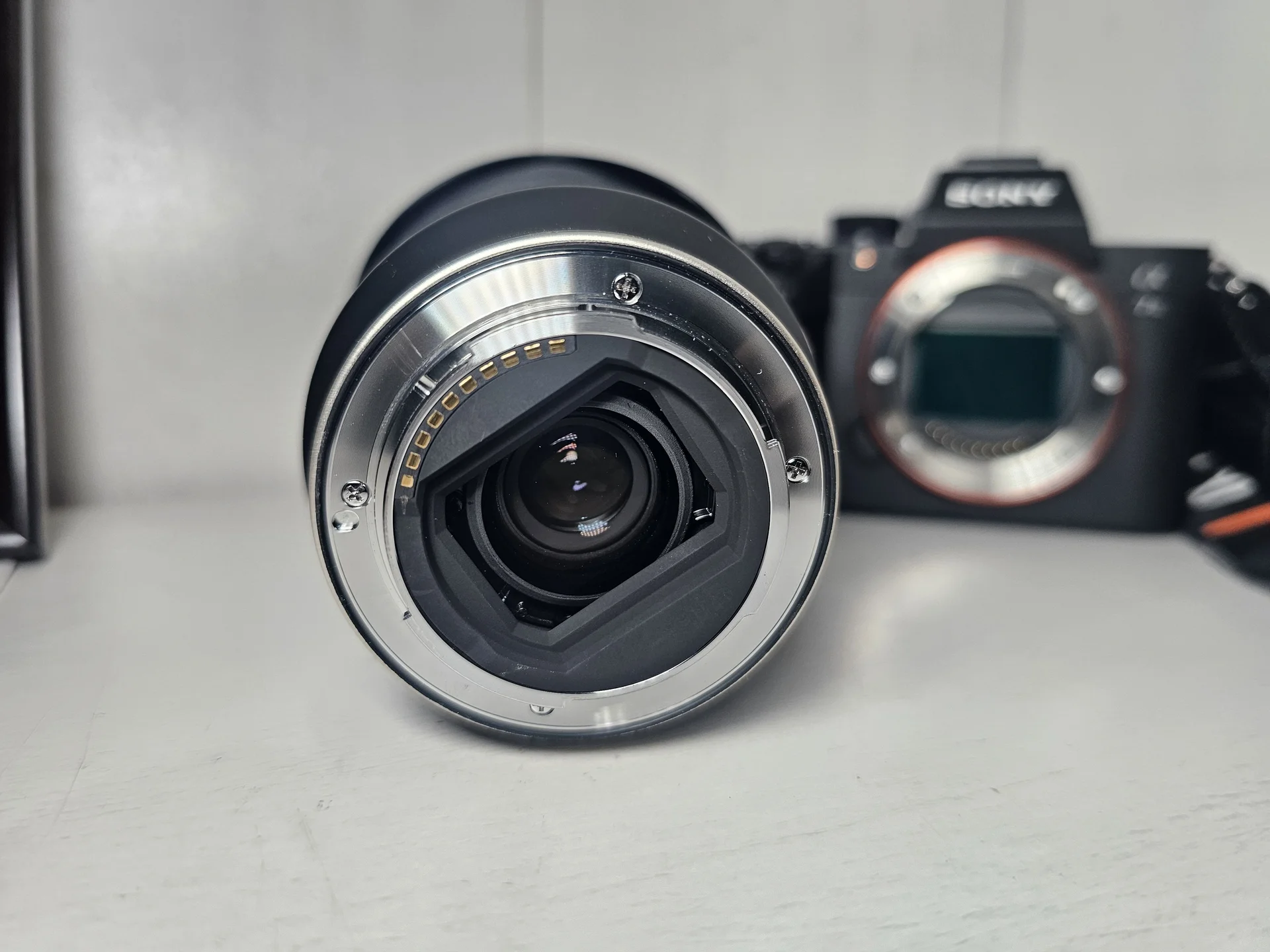Sony A7M3 (a7 III) + Tamron 17-28 + вспышка - миниатюра 7