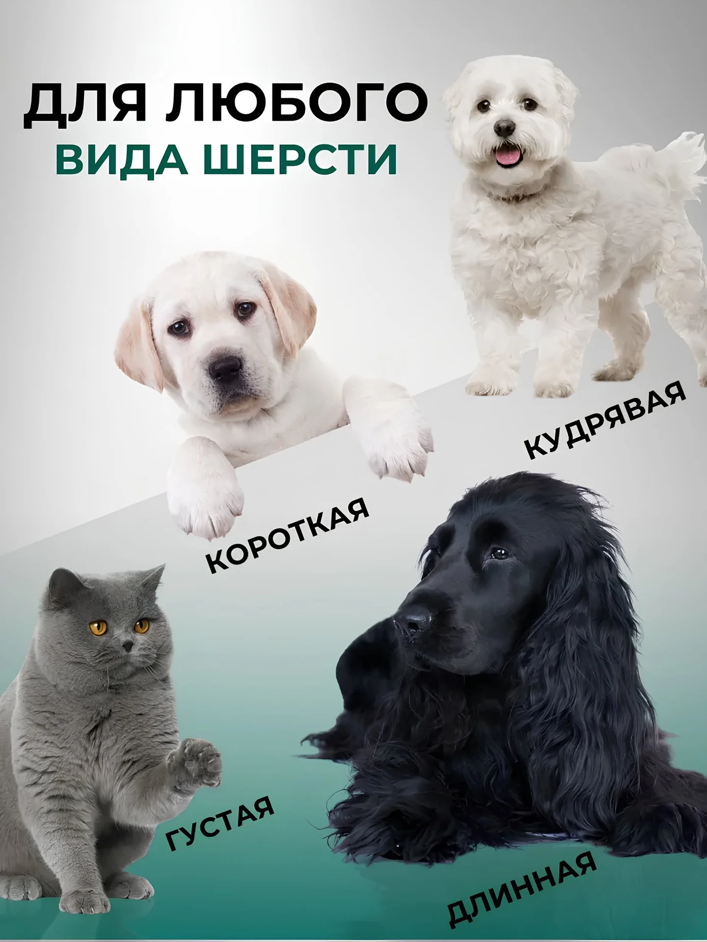 Новая машинка для стрижки животных - миниатюра 3