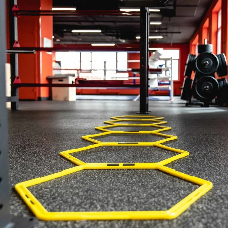 Лестница для функциональных тренировок PROFI-FIT - миниатюра 3