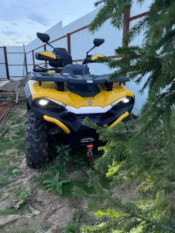 Hisun Guardian 750L