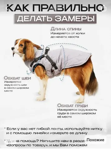 жилет для собак