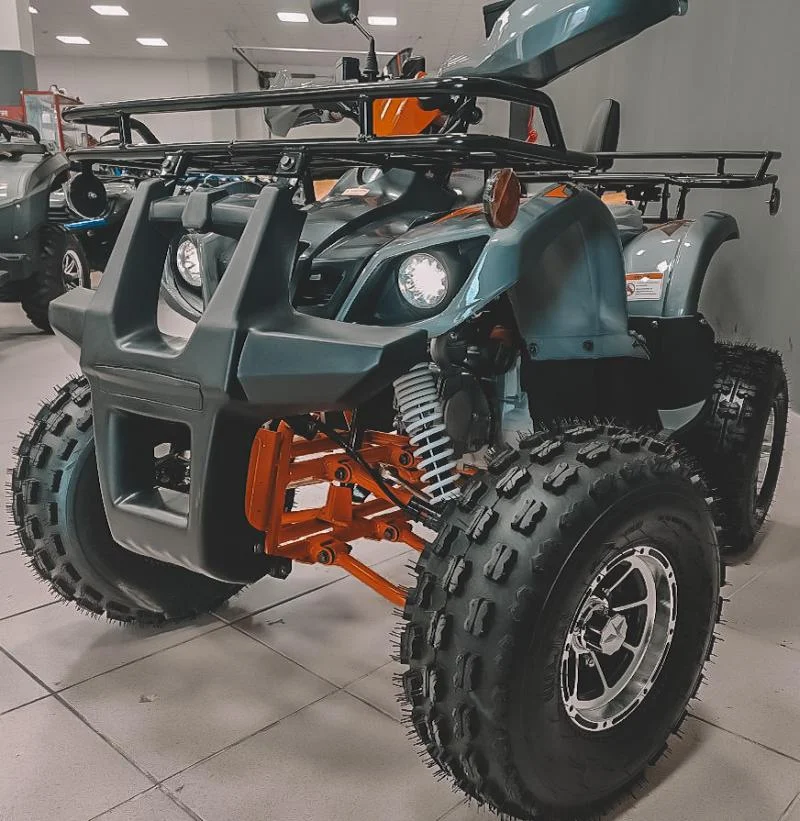 ATV TERMIT LIBRE, 2026 - миниатюра 8