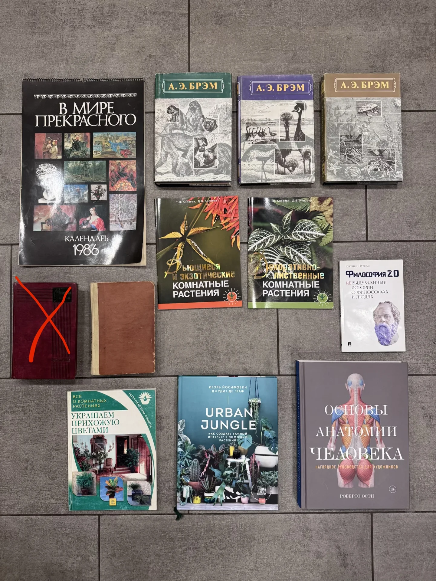 Книги по искусству, живописи и другие - миниатюра 2