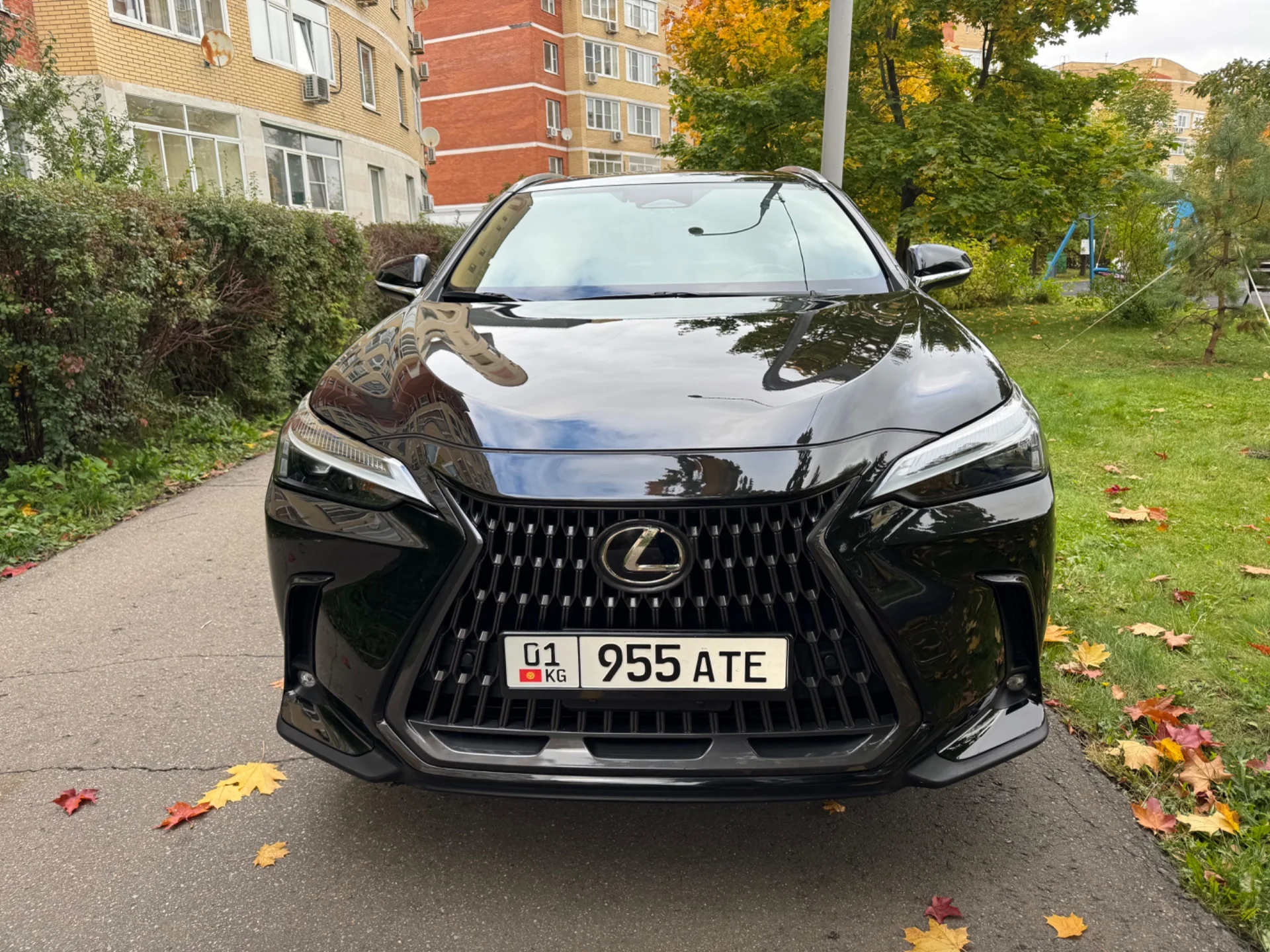 Lexus NX 350 Awd 2022 - миниатюра 2