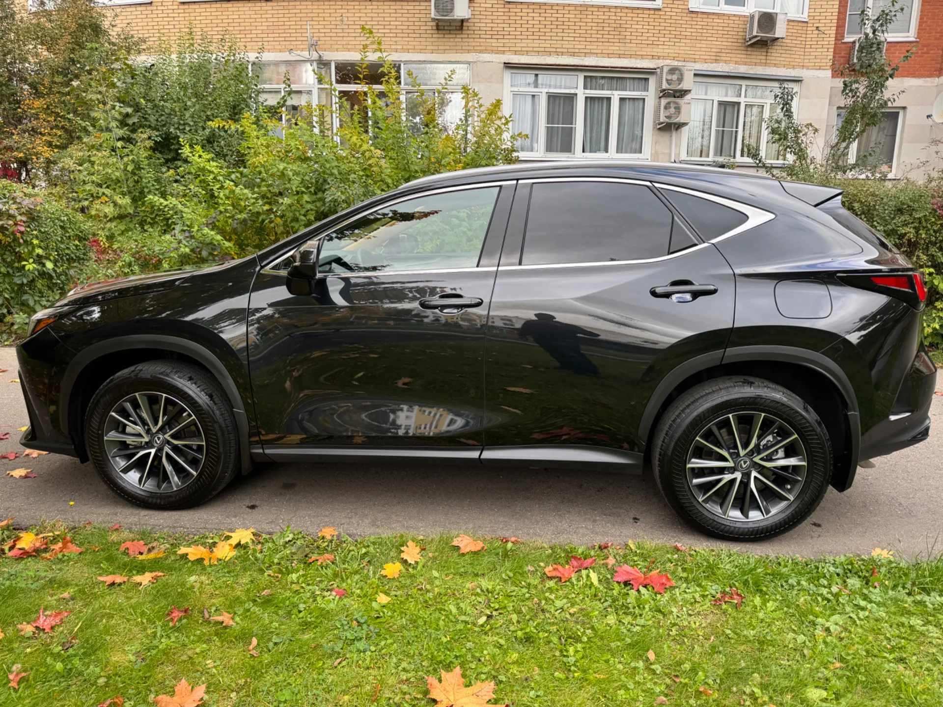 Lexus NX 350 Awd 2022 - миниатюра 8