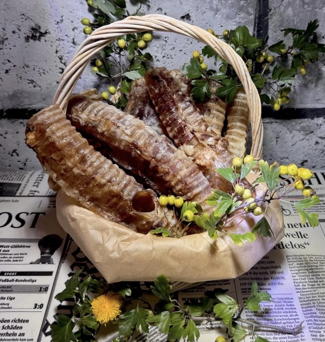 лакомства для животных - миниатюра 5