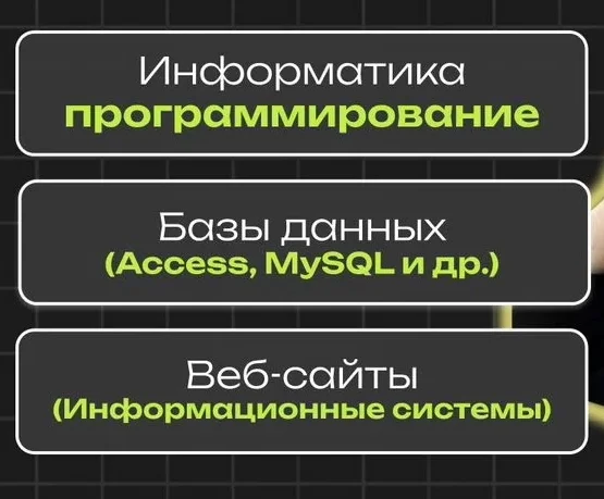 Репетитор по программированию, информационные системы - изображение 1