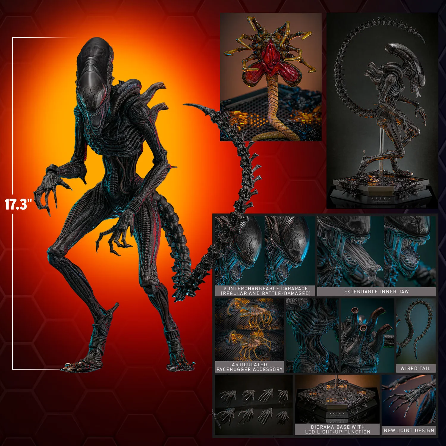 Фигурка HOT TOYS MMS-784 Чужой Ромул - миниатюра 2