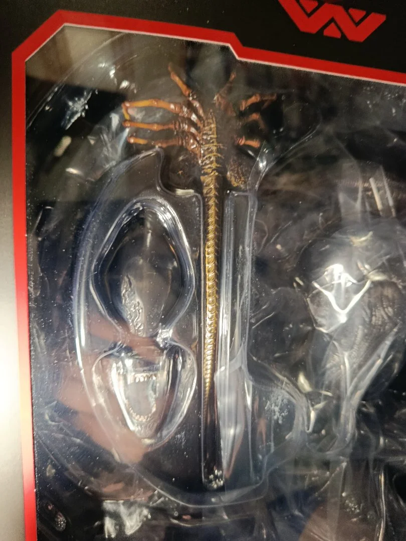 Фигурка HOT TOYS MMS-784 Чужой Ромул - миниатюра 6