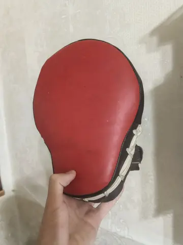 лапа для единоборств