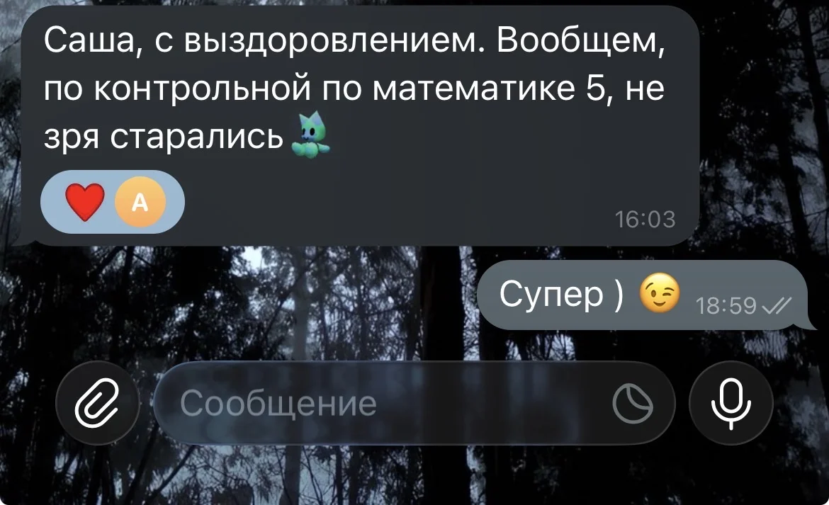 Репетитор по математике оноайн - миниатюра 4