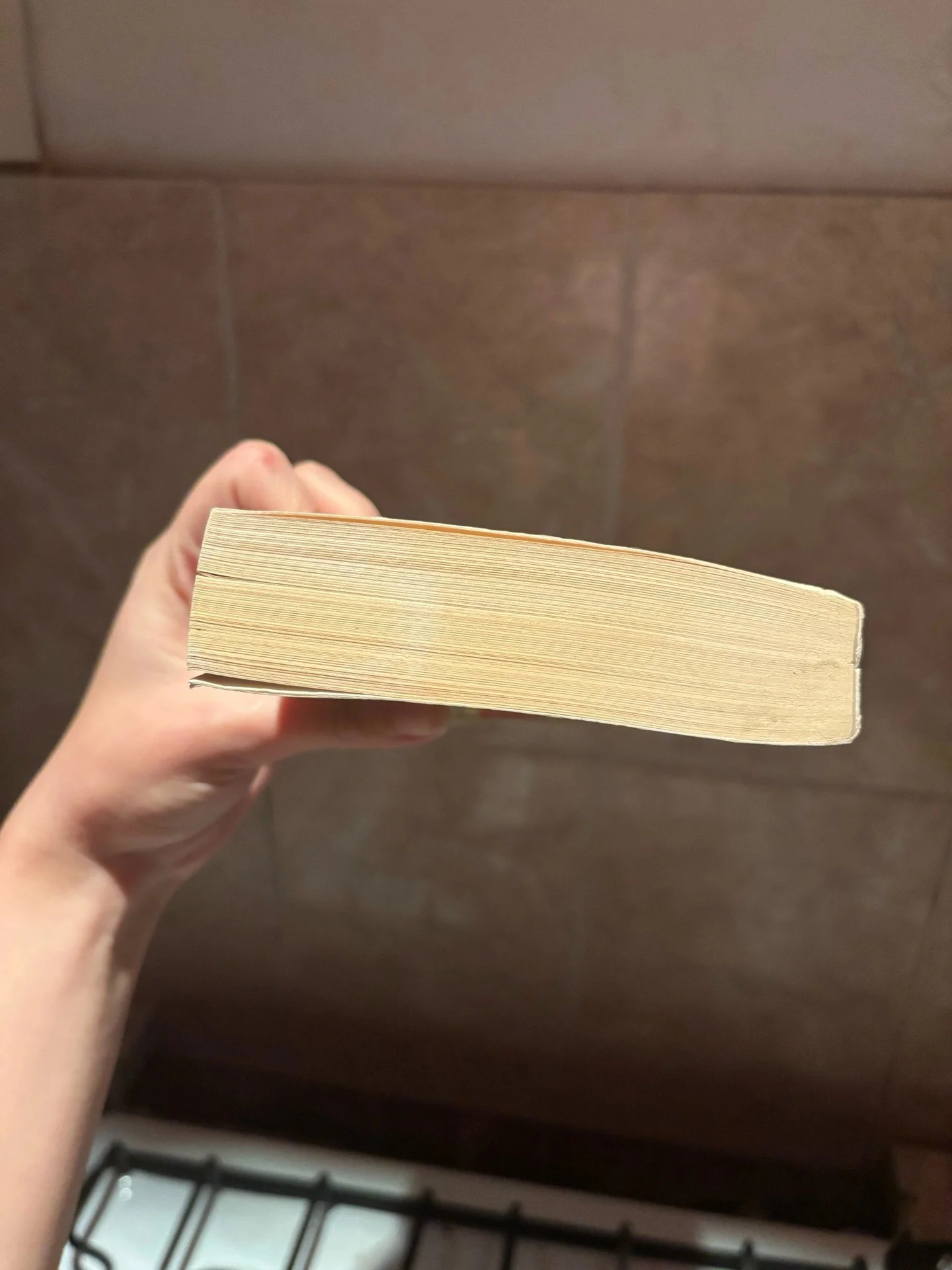 Книга Ворота Расёмон - миниатюра 4