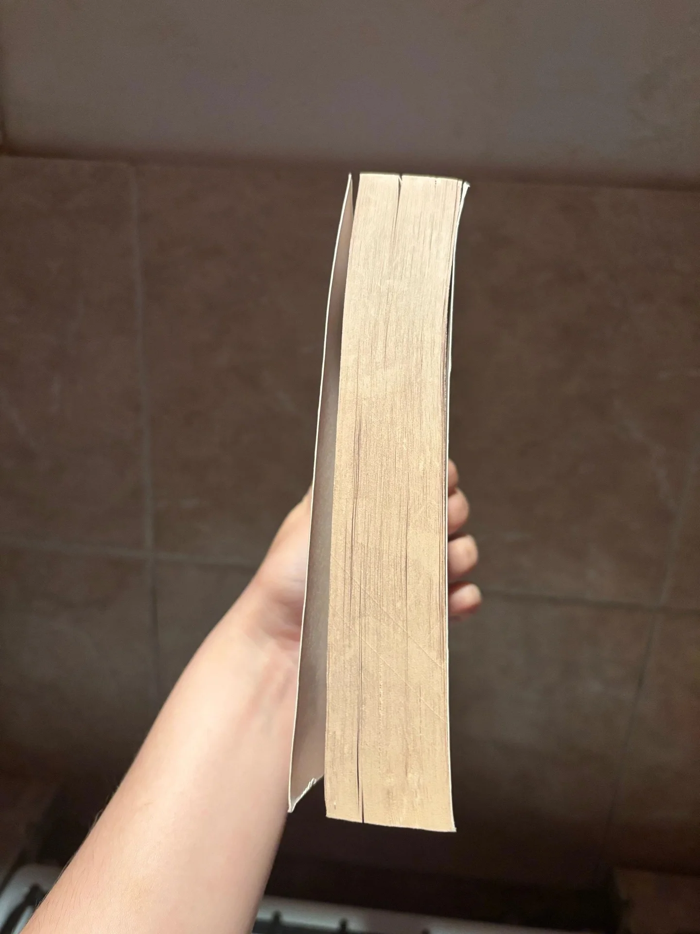 Книга Ворота Расёмон - миниатюра 6
