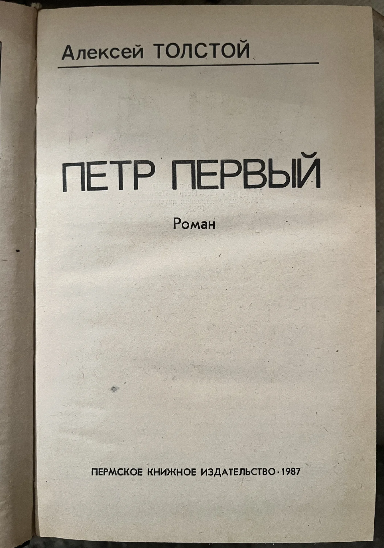 книга - миниатюра 2