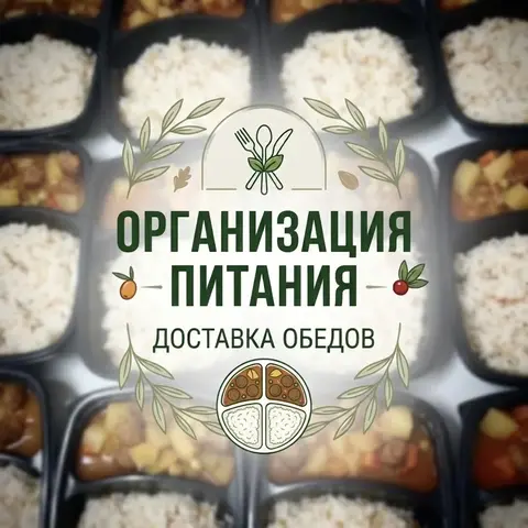Организация питания (Доставка готовой еды)