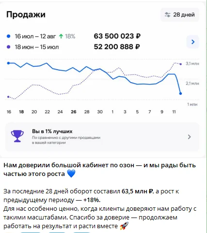 Менеджер маркетплейсов WB|OZON|Yandex на результат - миниатюра 5