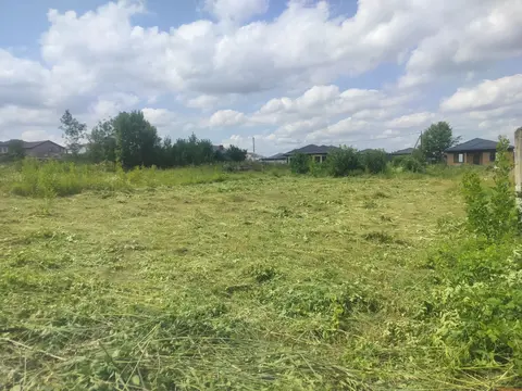 спил деревьев, покос травы уборка участков