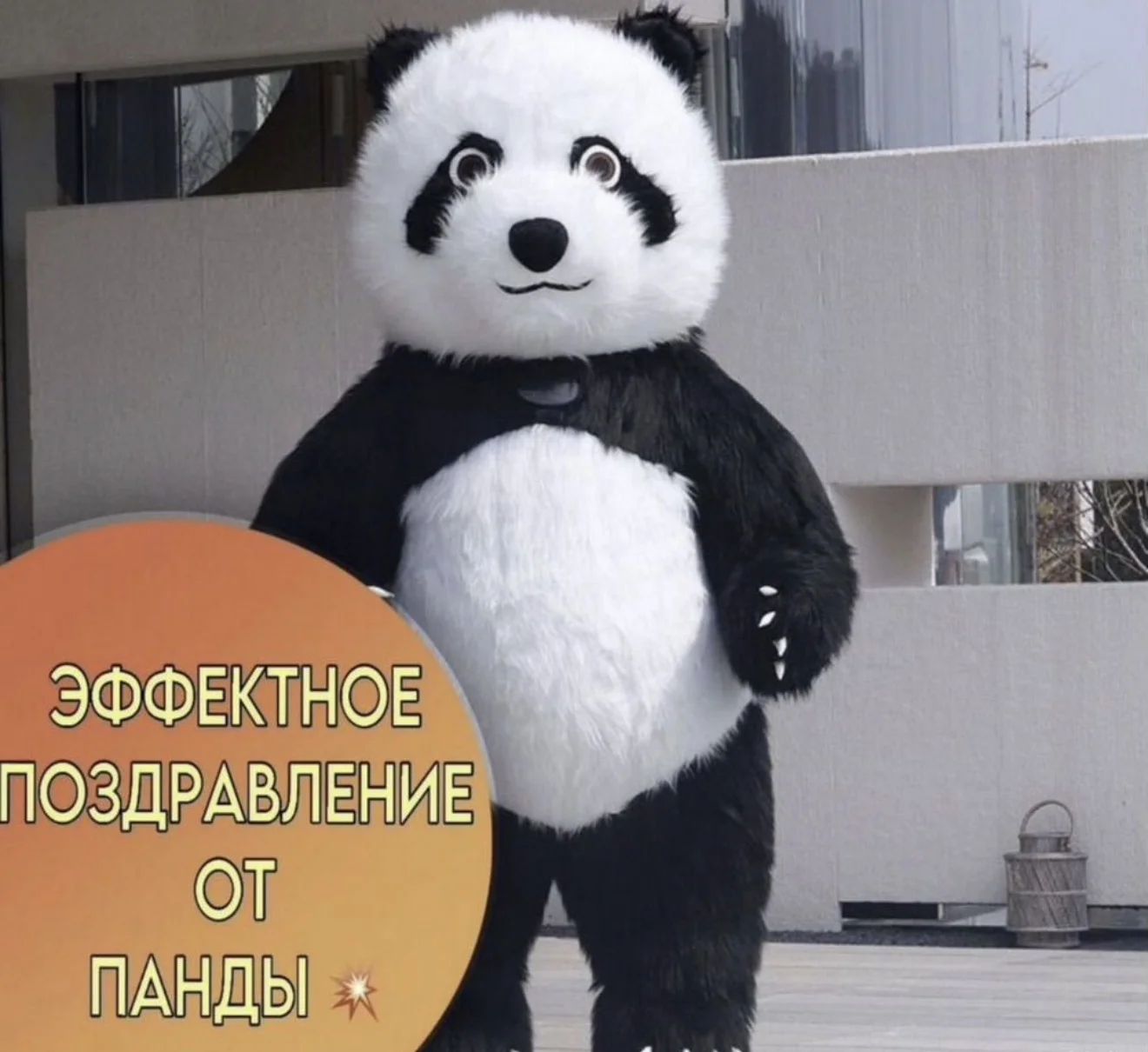 Поздравление белого мишки - миниатюра 2