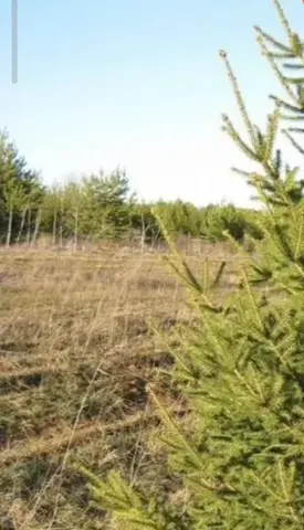 Приму бесплатно грунт в большом объёме