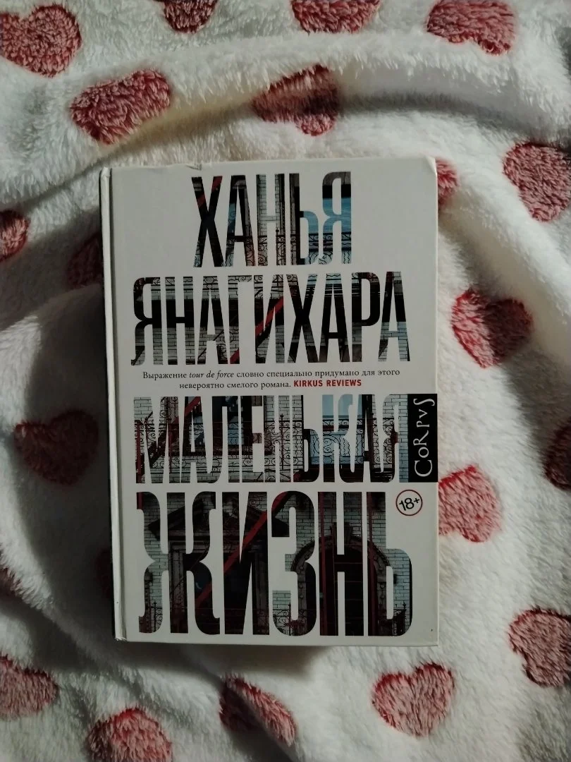 Маленькая жизнь книга