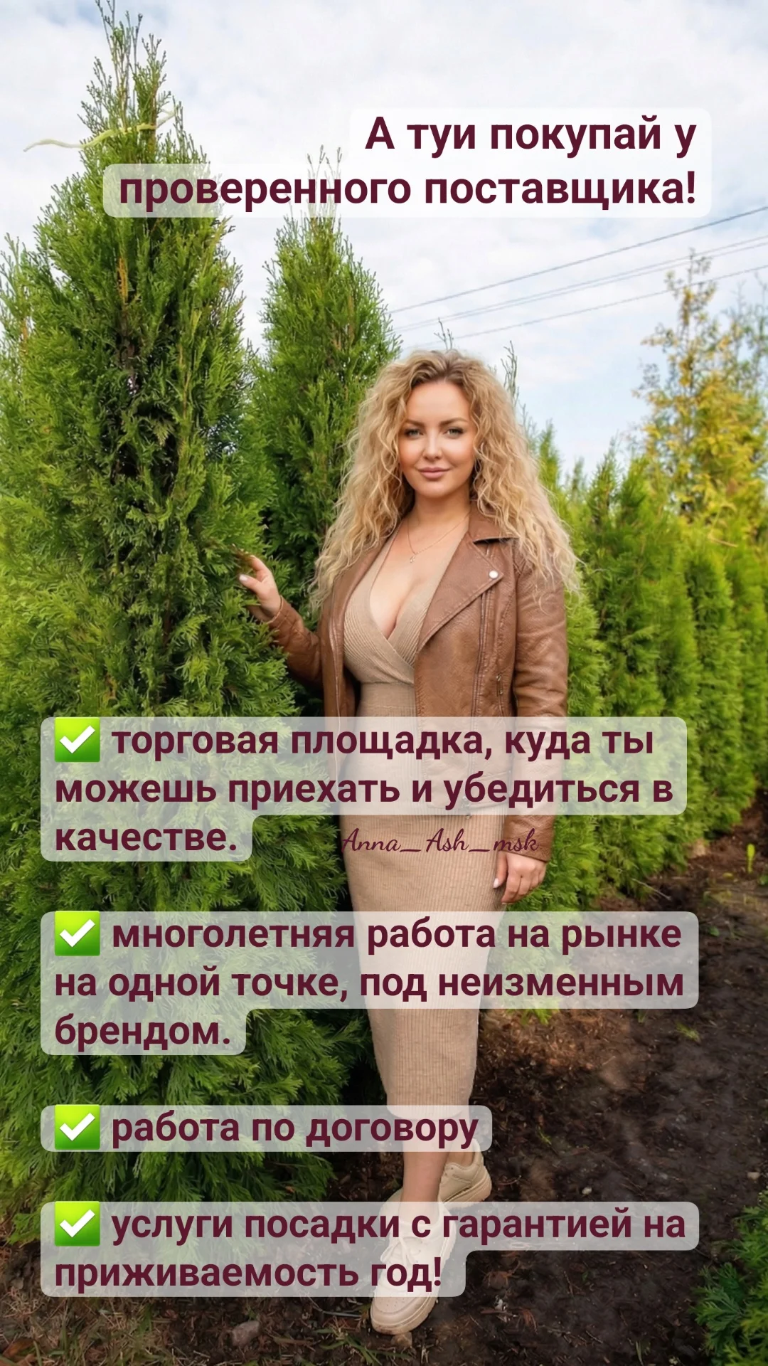 Живая изгородь. Забор из туй Смарагд/Брабант - миниатюра 6