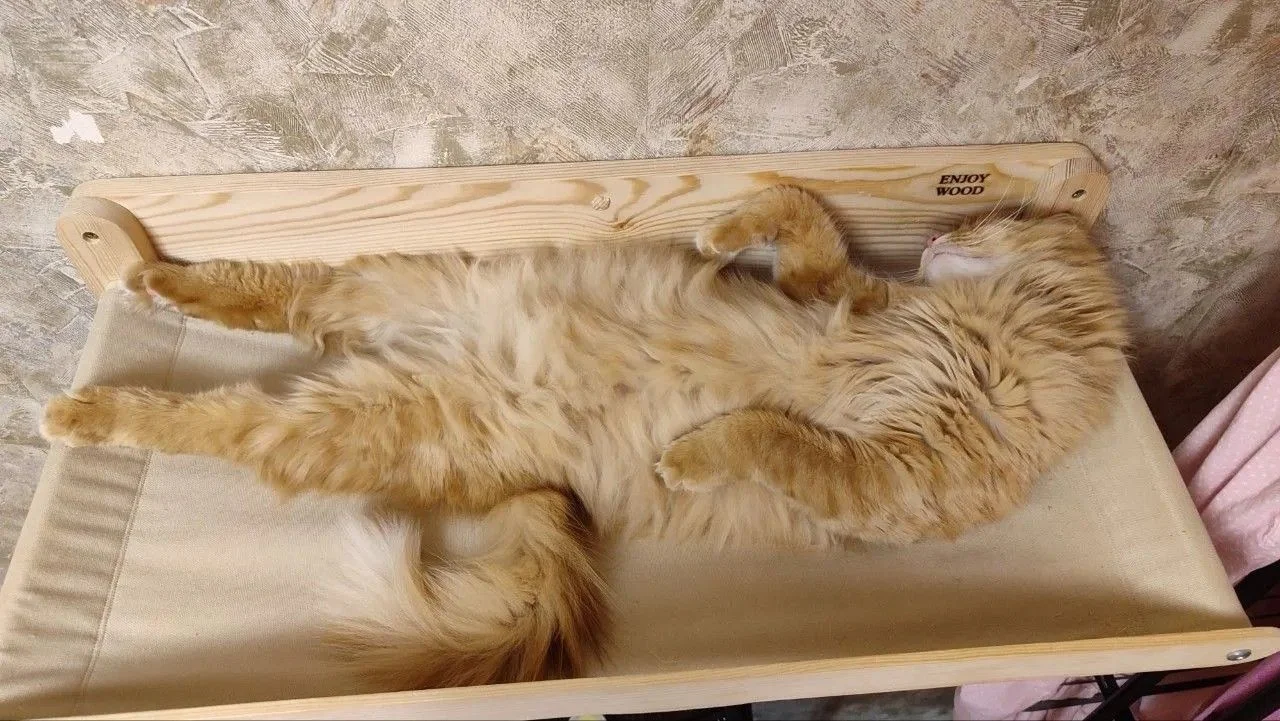 Гамак настенный лежанка для кошек - изображение 1