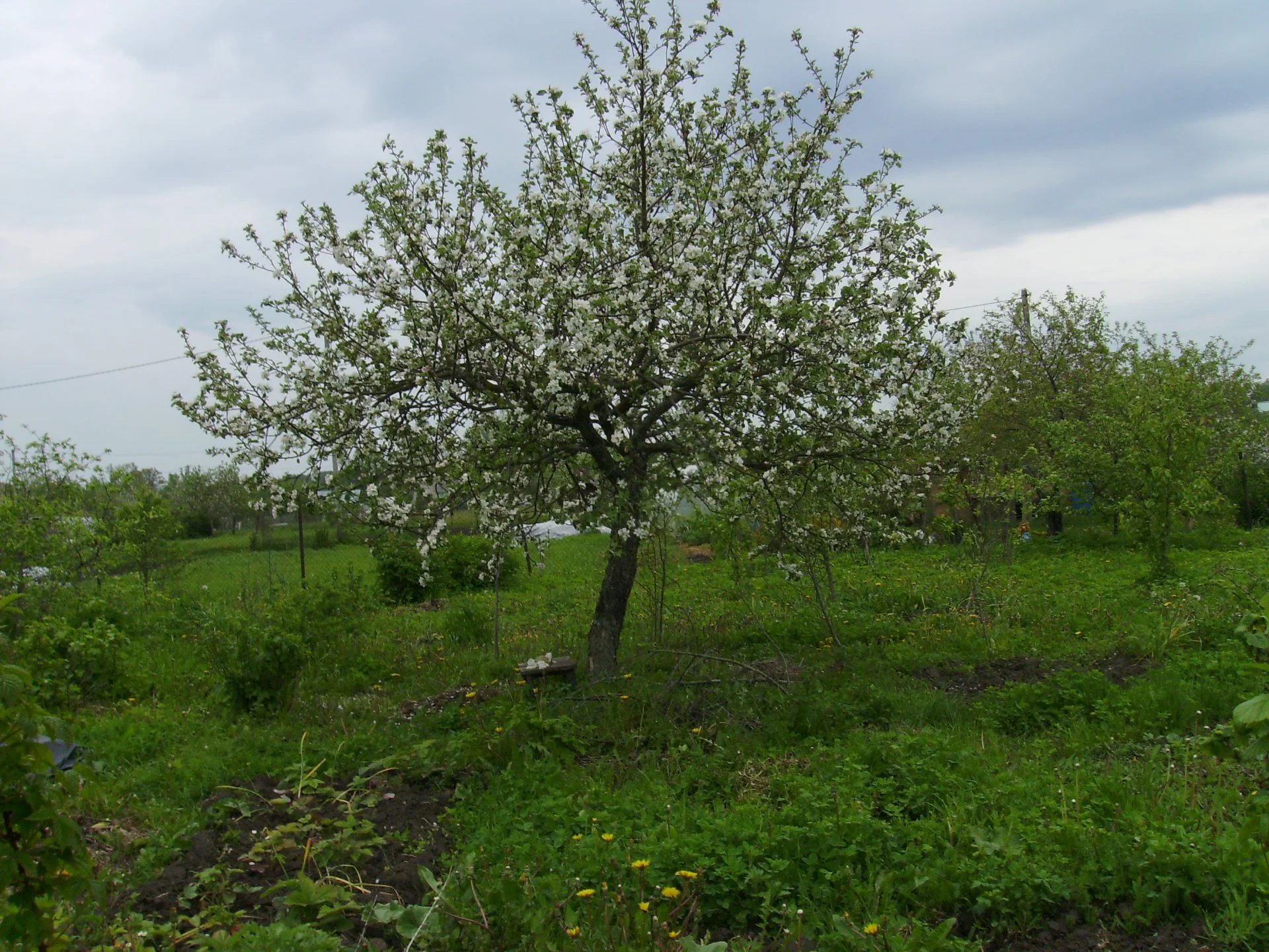 Продам земельный участок - миниатюра 3