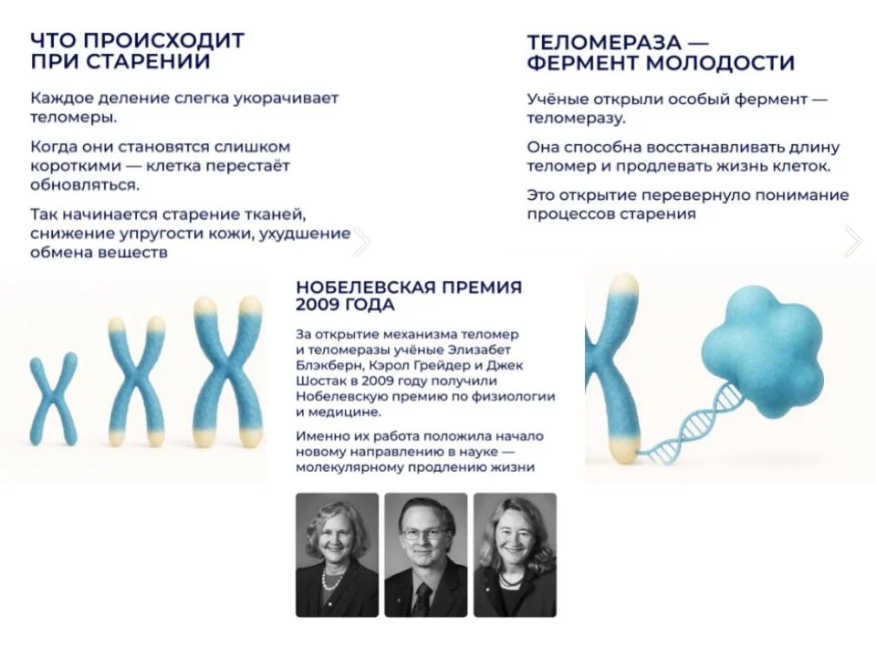 СеллГенетикс управляет нашим старением. - миниатюра 3