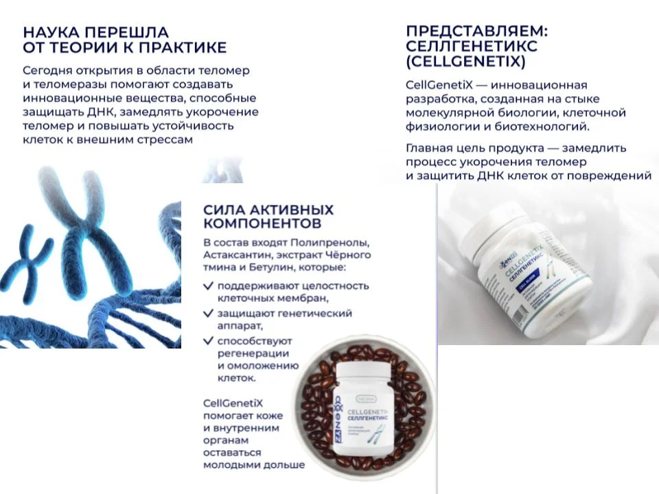 СеллГенетикс управляет нашим старением. - миниатюра 4