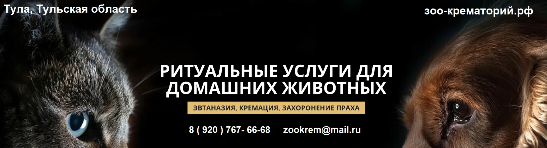 Тульский Зоо крематорий. Кремация кошек в Туле - изображение 1