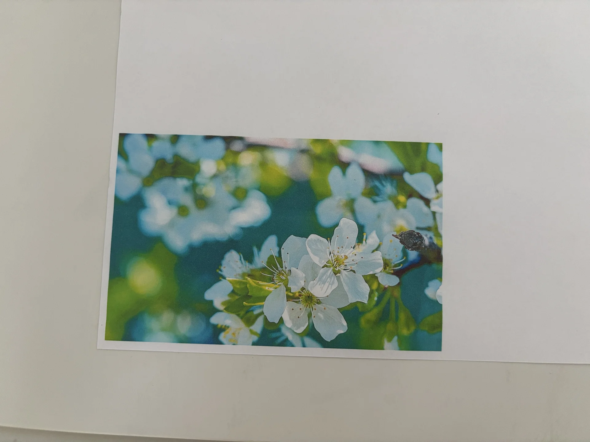 Принтер, сканер, копии hp deskjet 2320 цветной - миниатюра 4