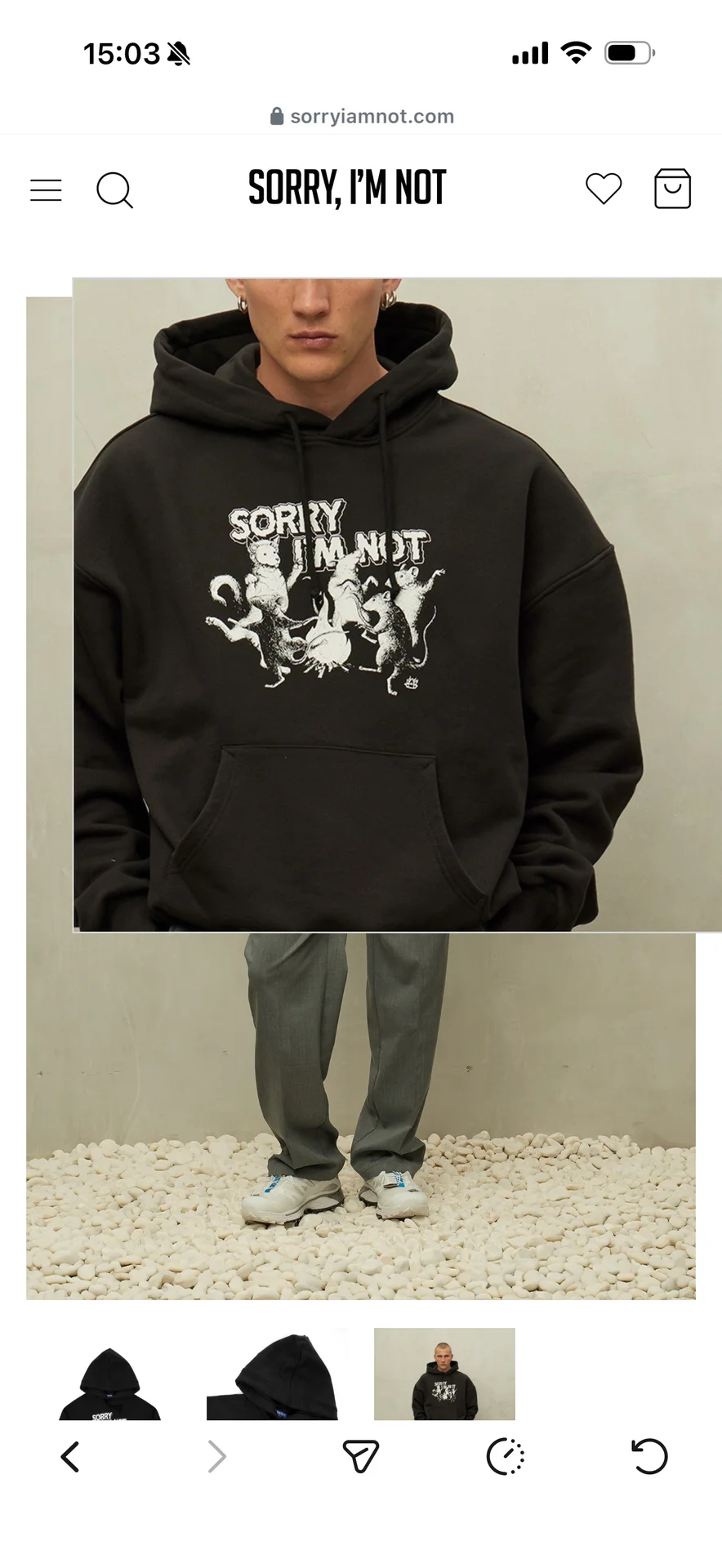 Худи sorry I’m not - миниатюра 3