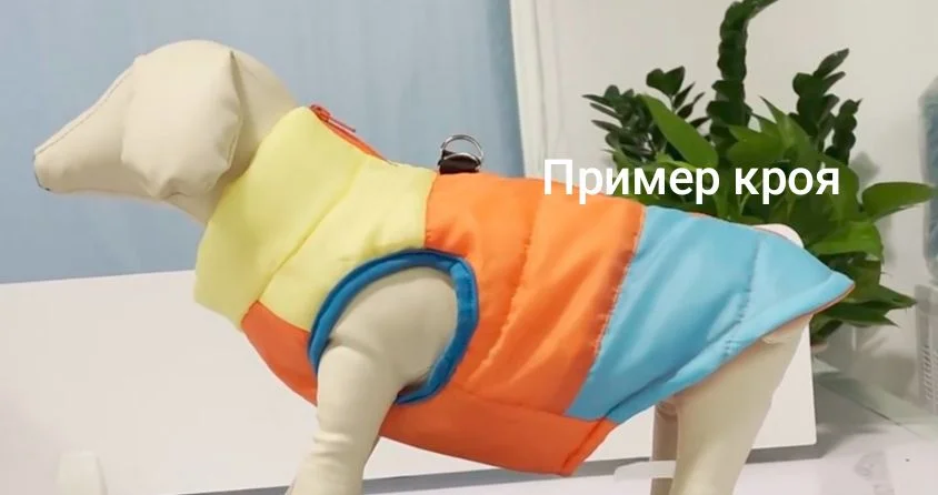 Куртка для собаки (осень/зима) - миниатюра 2