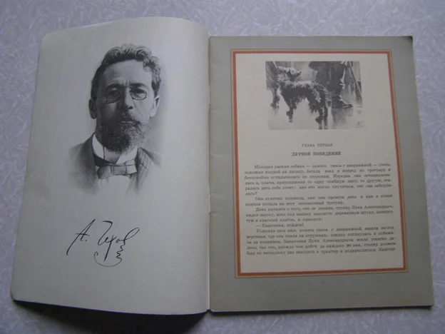 книга для детей Чехов Каштанка - миниатюра 2