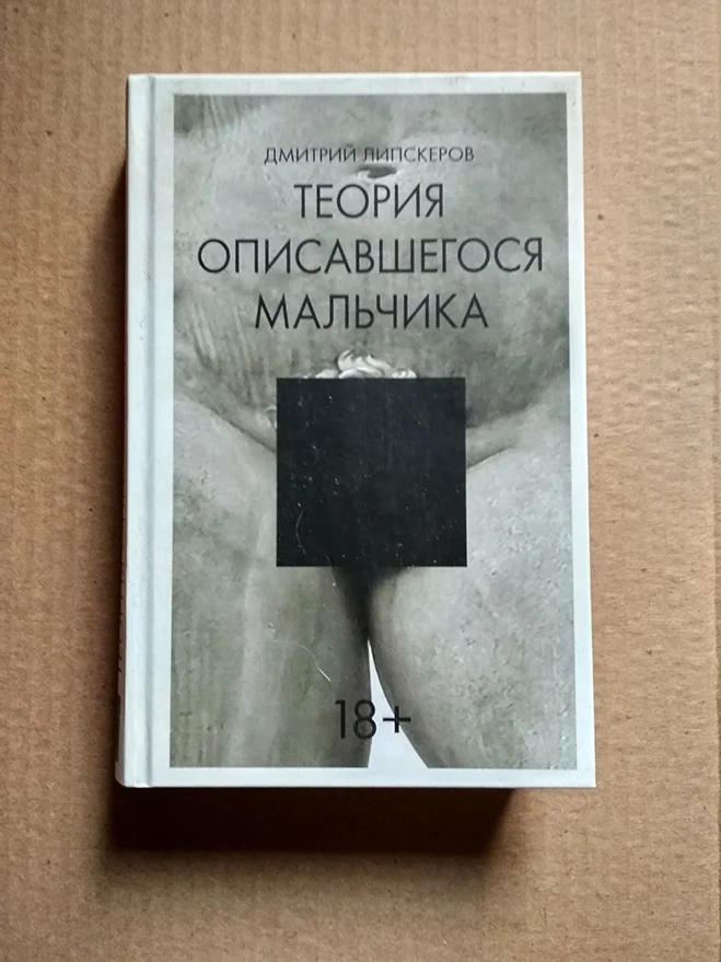 Липскеров Теория описавшегося мальчика - изображение 1