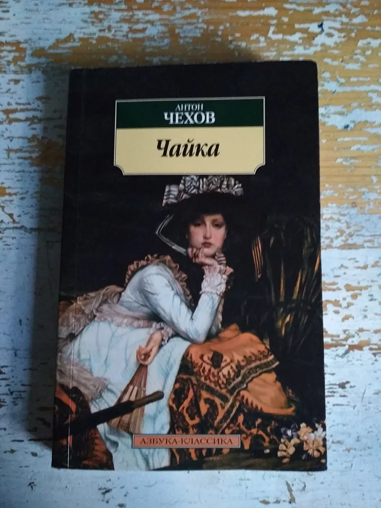 Чехов Чайка и другие пьесы - изображение 1