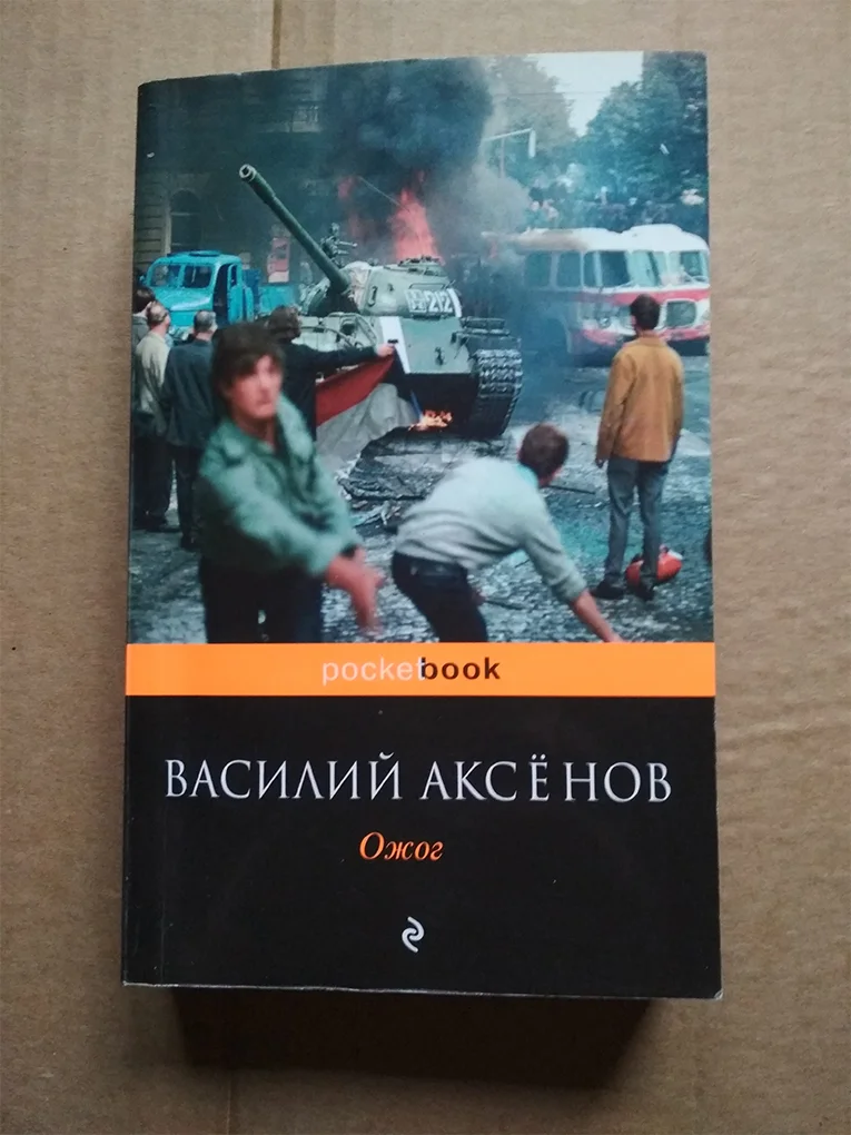 Василий Аксенов ОЖОГ - изображение 1