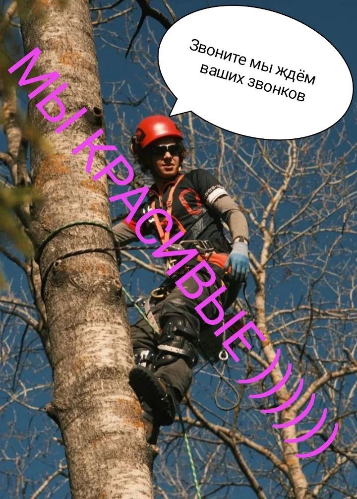 Спил деревьев дробление веток - миниатюра 3