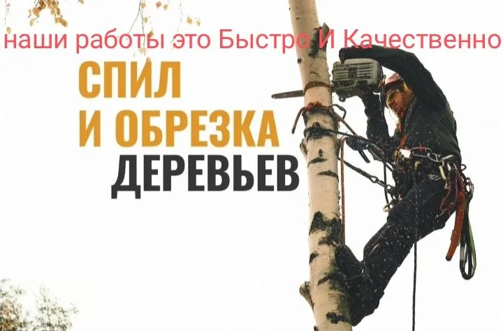 Спил деревьев дробление веток - миниатюра 5