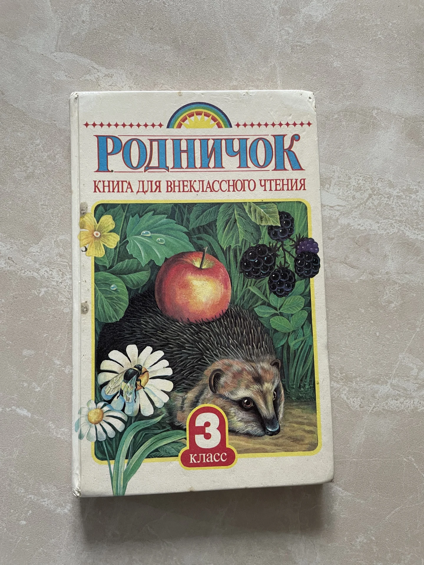 родничок 3 класс - изображение 1