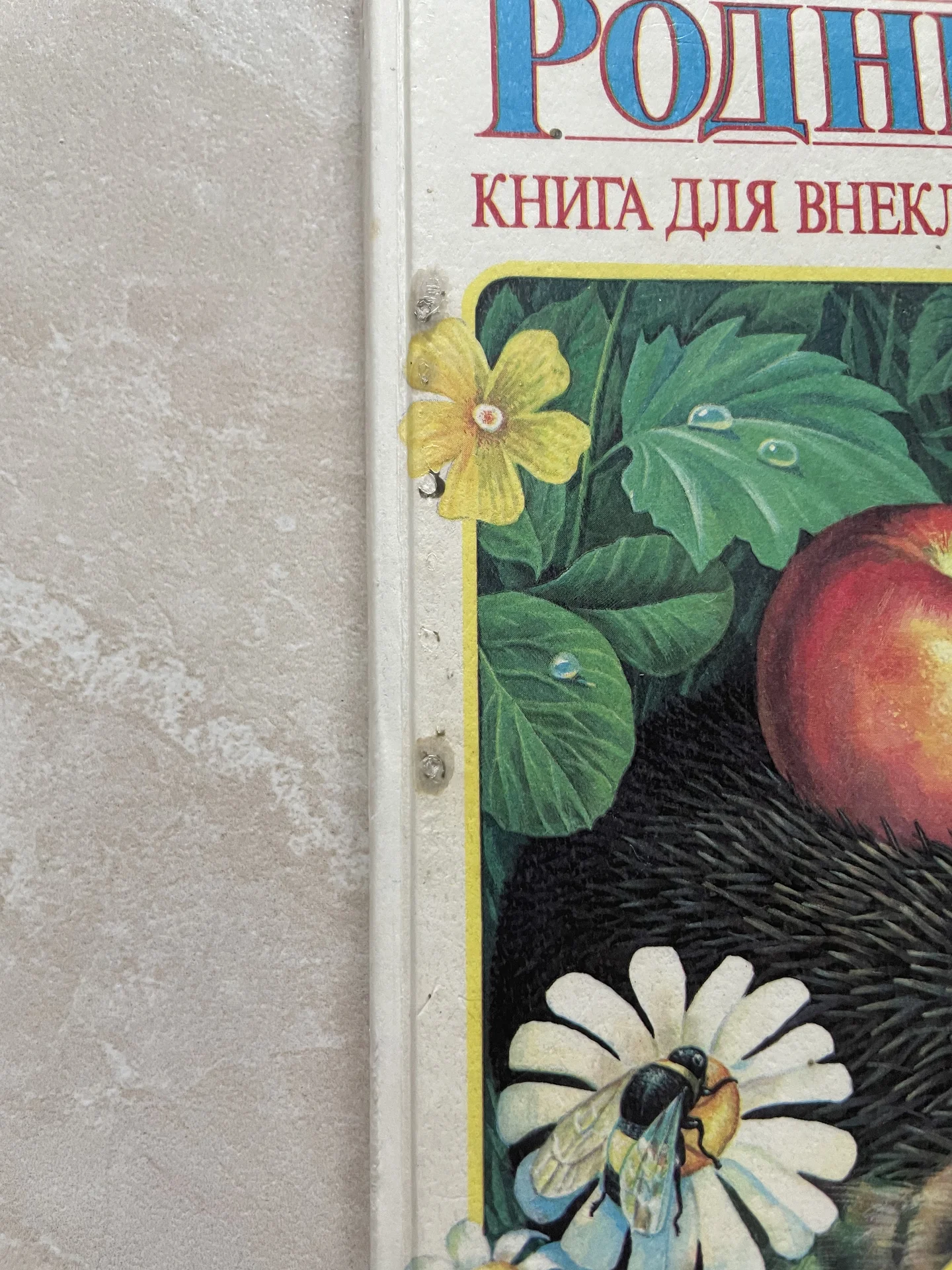 родничок 3 класс - миниатюра 4